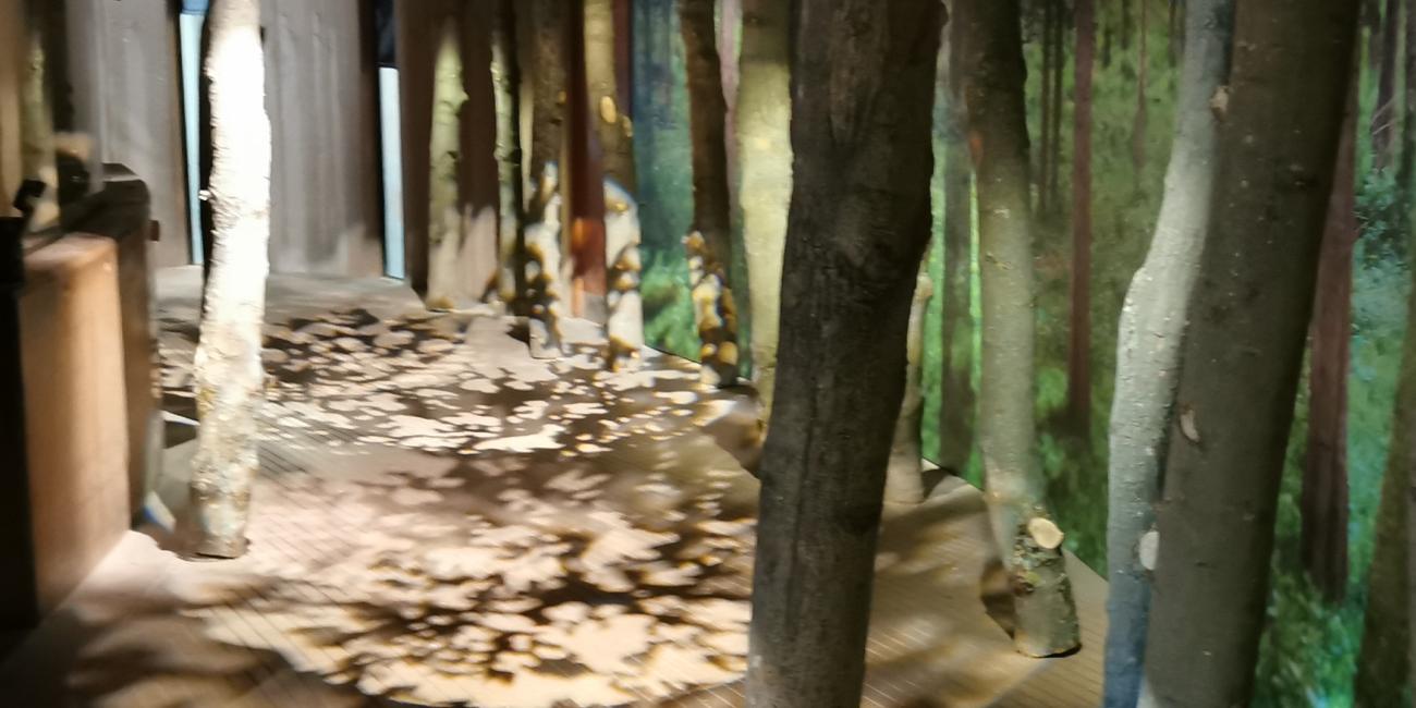 Den levende asiatiske skov Den levende asiatiske skov